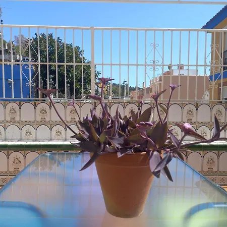 Apartment Piso Centrico 1.5km Playa Con Gran Terraza +vistas
